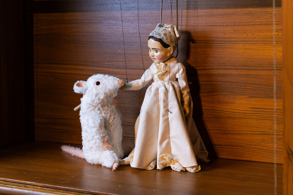 Tannhäuser und die Wartburg__P 21.03.2025 | Tannmäuser, Elisabeth