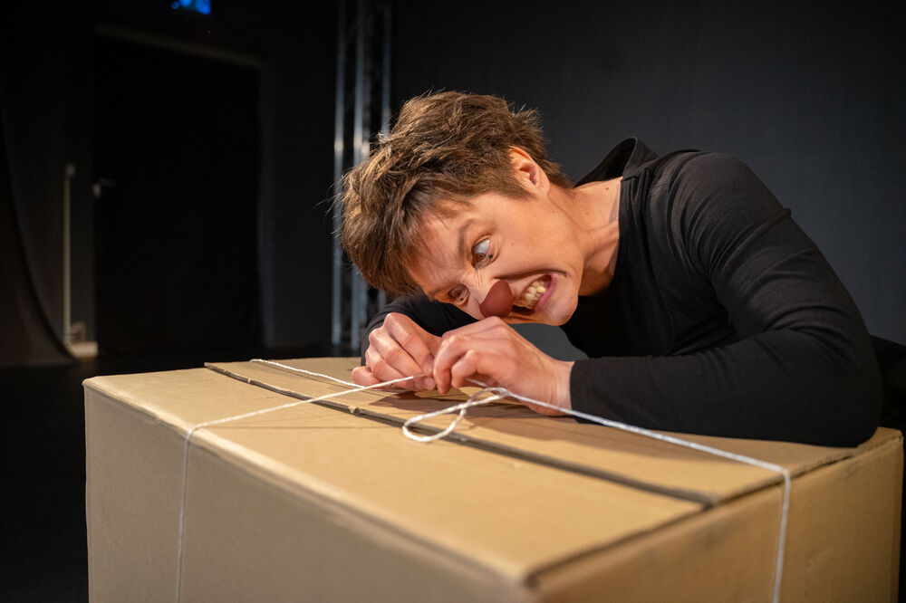 Auf die Kiste, fertig, los__Gastspiel 13.11.2026 | Festwoche 40 Jahre Meininger Puppentheater