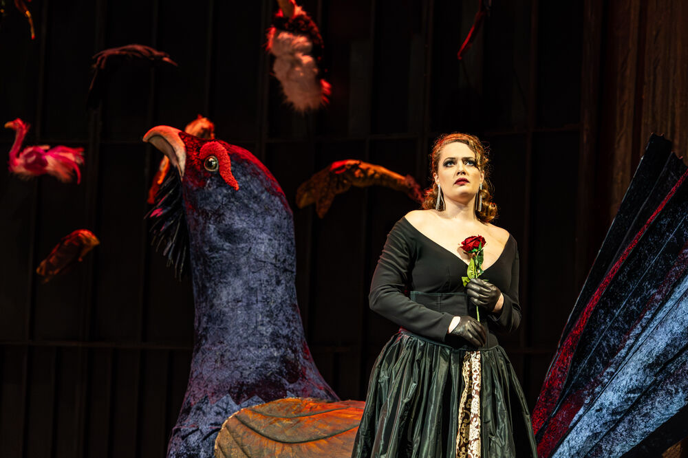 Die Csárdásfürstin