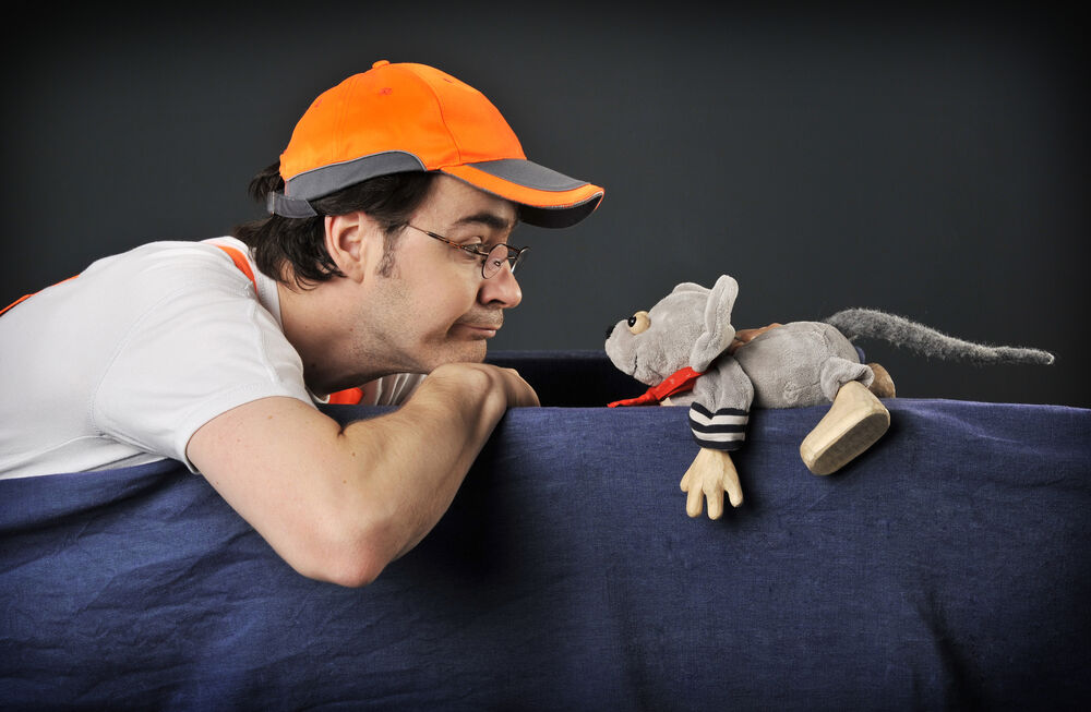 Sebastian Putz in „Der kleine Ritter Maus“, (c) Foto-ed