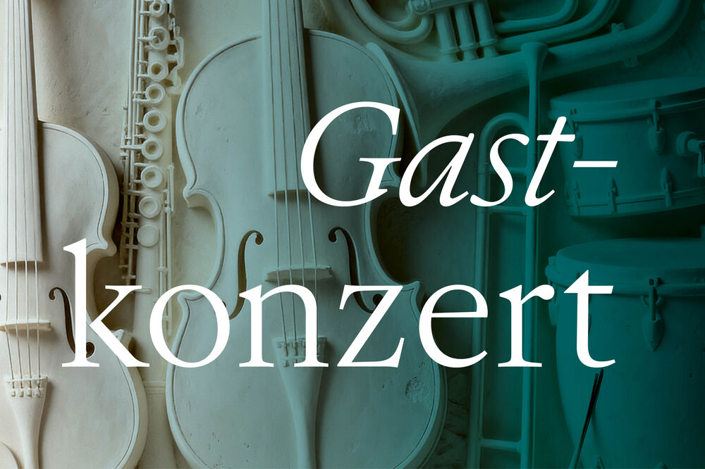 35. MDR Musiksommer: Im Walde